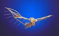 macchina volante Leonardo da Vinci