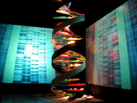 Doppia elica del DNA e impronte genetiche