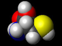 Cisteina (uno dei 20 aminoacidi costituenti le proteine) - struttura molecolare.