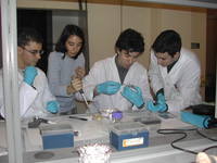 Laboratori biotecnologie