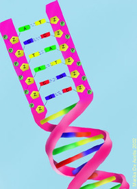 Elica di DNA