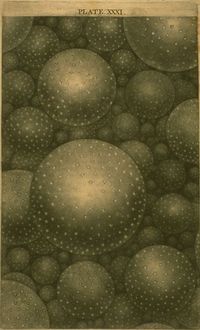 Nebulose come sistemi stellari, di Thomas Wright