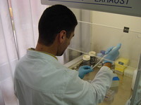 Analisi del DNA al Laboratorio chimico della Camera di commercio di Torino