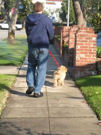 cane a passeggio