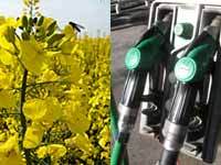 Biocarburante