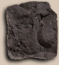 Roccia basaltica