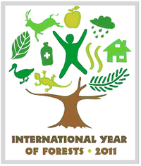 Anno Internazionale delle foreste - logo