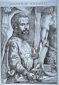 Ritratto di Andreas Vesalius