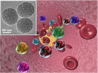 Nanoparticelle in silice porosa