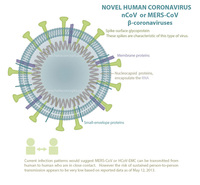 Coronavirus Mers-CoV