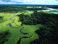 Droni telecomandati per salvare la foresta amazzonica