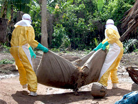 Perché è così pericolosa l'epidemia di ebola